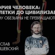 Станислав Дробышевский Почему обезьяны не превращаются в людей 6