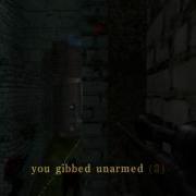 Assault Cube 1 Minute OwNagE No Scope And Scope