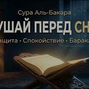 Сура Аль Бакара Мишари Рашид Слушайте перед сном всю ночь Защита от сглаза очищение дома