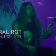 CEREBRAL ROT Live At Saint Vitus Bar Apr 12th 2023 FULL SET