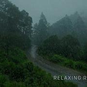 4K Walk Through Misty Rain Under Umbrella Relaxing ASMR Rain Walks Compilation For 4 Hours