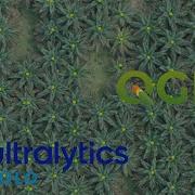 Oil Palm Tree Detection QGIS Plugin