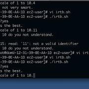 Shell Scripting While Loops