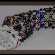 This Is Earth Worm Robot