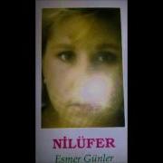 NİLÜFER Mor Menekşe
