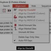 How Perform Alignment Phylogenetic Analysis In MEGA Biological Sciences Superior University