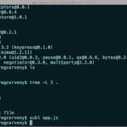 How To Install Node Js Packages With Npm