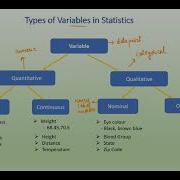 Types Of Variables In Statistics