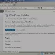 How To Upgrade Wordpress And Themes Automatically