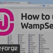 Как использовать WampServer для Windows