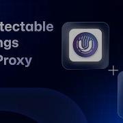 9Proxy Undetectable Settings With 9Proxy