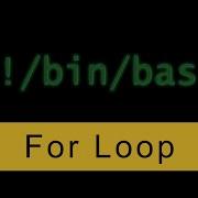 Цикл For скриптинг Bash