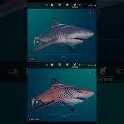 MANEATER ALL SHARKS EVOLUTION