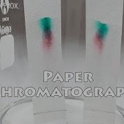 Paper Chromatography Science Project