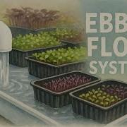 What Is Ebb Flow Hydroponics