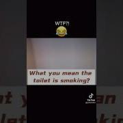 The Toilet Is Smoking Plmonitor Shorts Fyp Tiktok
