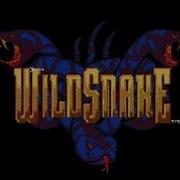 Let S Demo Wild Snake
