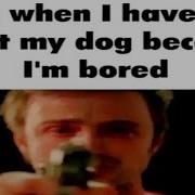 Insane Shitposts