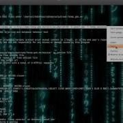 Exploiting SQL Injection Basic SqlMap BackTrack 5r2