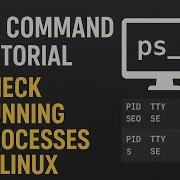 Ps Command Tutorial Check Running Processes In Linux