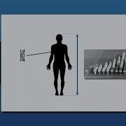 Christoph Lippert Deep Learning For Statistical Inference In Imaging Genetics CGSI 2025
