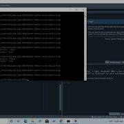 Python Basics Curses 5