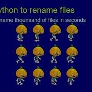 Python Renaming A Lot Of Files Os Rename