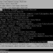 Bash Shellshock Ssh Exploit Tutorial POC