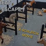 The Great Horse Escape A Short Schleich Film Schleich Schleich