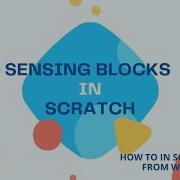Sensing Blocks In Scratch 16 How To In Scratch Series WiselyWise