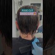 PIXIE CUT BASIC LINE Complete Tutorial Linked Below