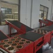 Parcel Scanning And Sorting Logistics Loading Automation Barcode Conveyor Wheelsorter