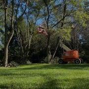 Tree Pruning With A 45 Foot Boom Lift Time Lapse