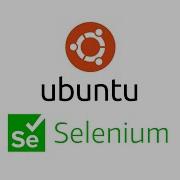 How To Install Or Update Chromedriver In Linux Or Ubuntu