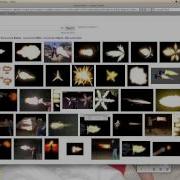 How To Make A Muzzle Flash Gunshot In IMovie 11