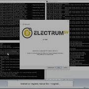 ElectrumSV Merchant API Peer Channels Headers Client And Tip Filtering