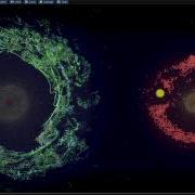 ALIEN An Artificial Life Simulation Tool On AMD GPUs Via SCALE