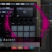 Maschine Expansion Anima Ascent All Projects By Native Instruments