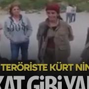 Kürt Nine Den PKK Lı Kıza Tokat Gibi Yanıt