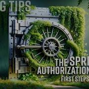 Spring Tips The Spring Authorization Server