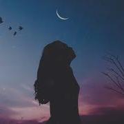 Michael FK Selene