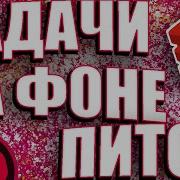 СОЗДАЕМ СВОЙ CELERY ЧЕРЕЗ REDIS BACKGROUND WORKERS В ПИТОНЕ