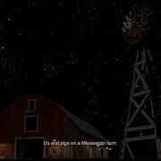 Sofia Isella Us And Pigs Lyric Video