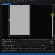 Windows 8 Development Using The Device Pane XAML