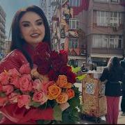 Nana Mam Jan ՆԱՆԱ Մամ ջան 2026
