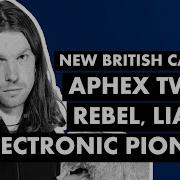 How Aphex Twin Spurned The 90s Dance Mainstream Windowlicker New British Canon