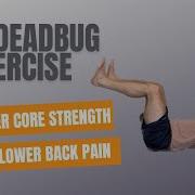 Dead Bug Exercise For Beginners Positioning Progressions And Common Mistakes