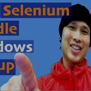 How To Handle Windows Dialog Box In Selenium Webdriver Using AutoIt