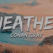 Conan Gray Heather Lyrics