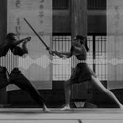 Conga Fury Animatrix Edit The Animatrix